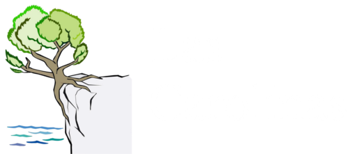 Las Carolinas logo